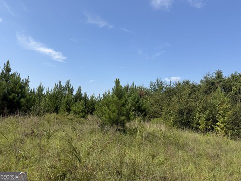 Land, Toomsboro, GA
