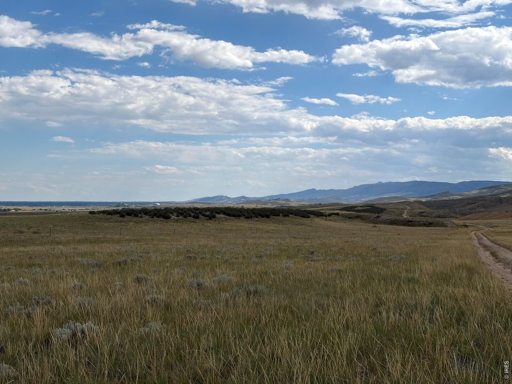 Picture 19