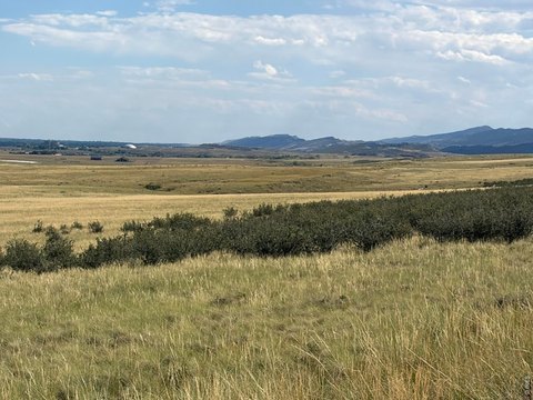Land, Laporte, CO