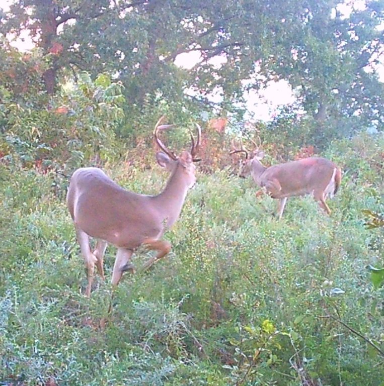Picture 49