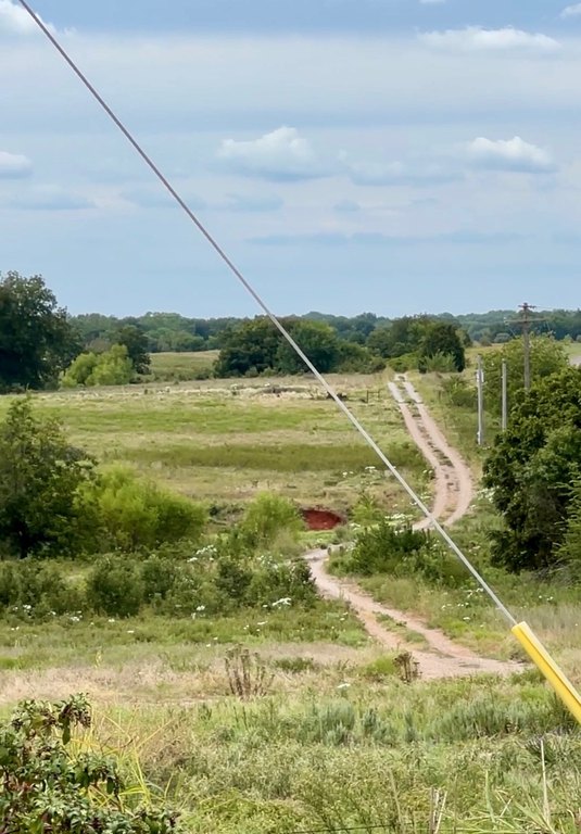 Picture 8