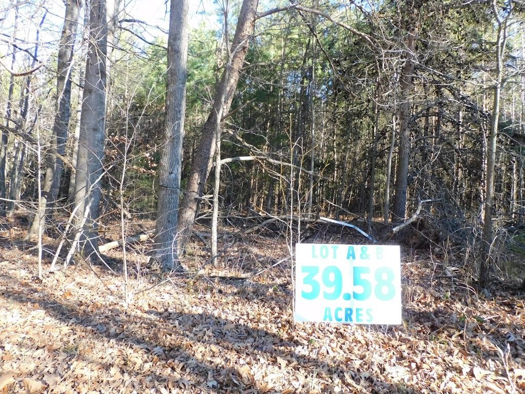 39.58 Acres of Agricultural Land