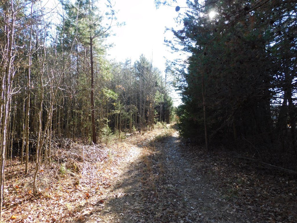Picture 7