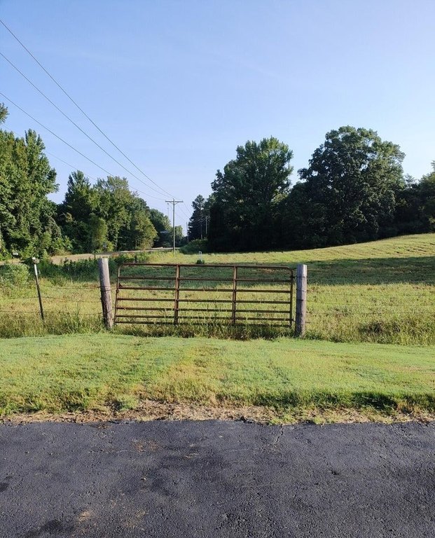 Picture 19
