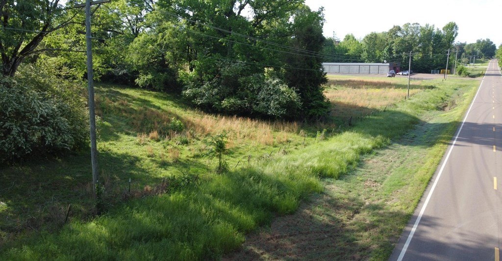 Picture 15