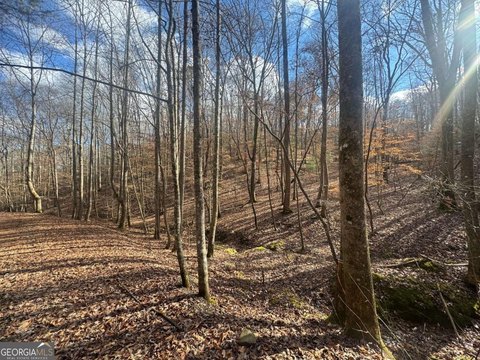 Land, Ellijay, GA