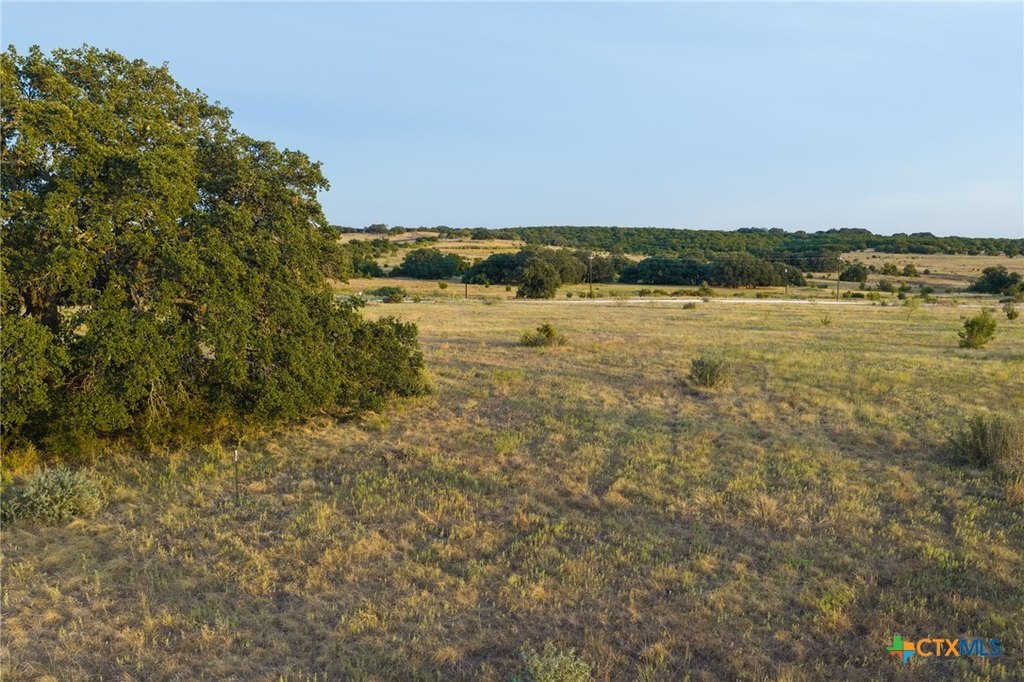 Picture 25