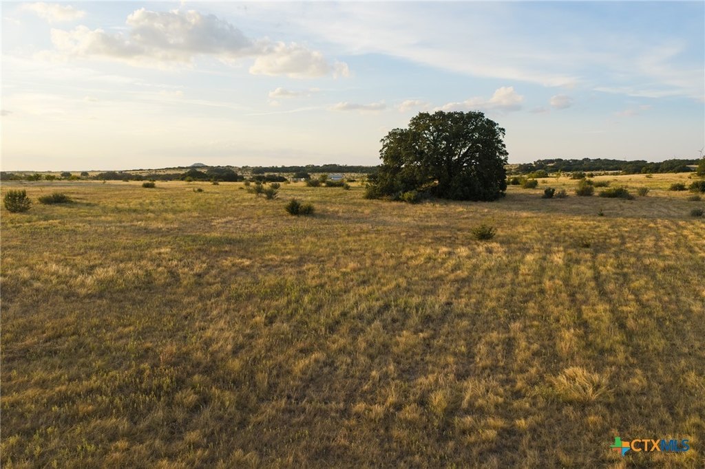 Picture 21