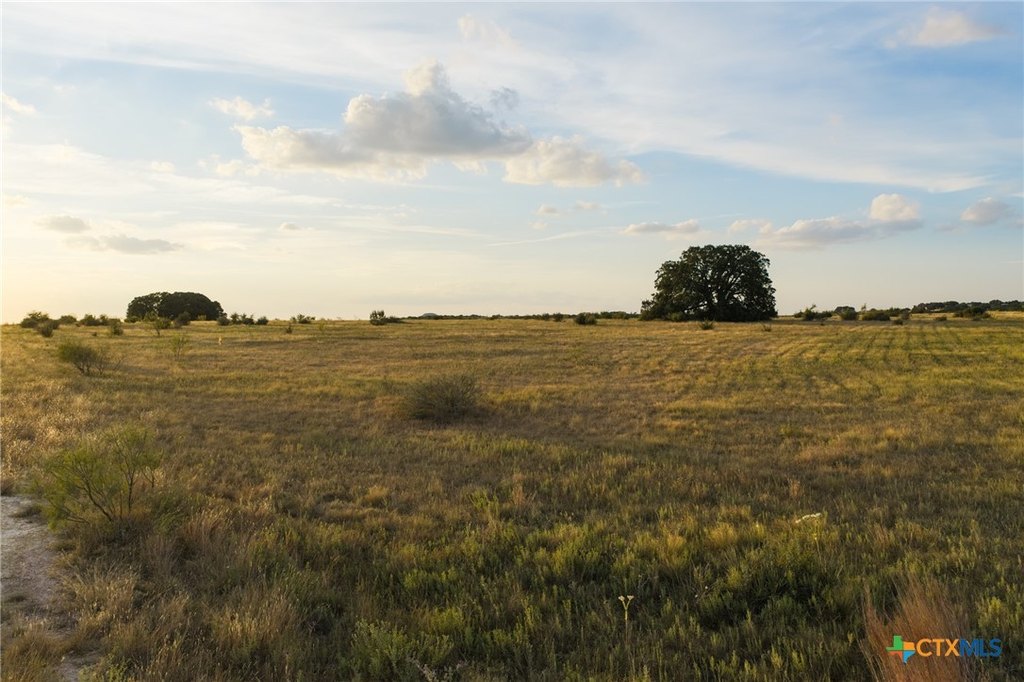 Picture 17