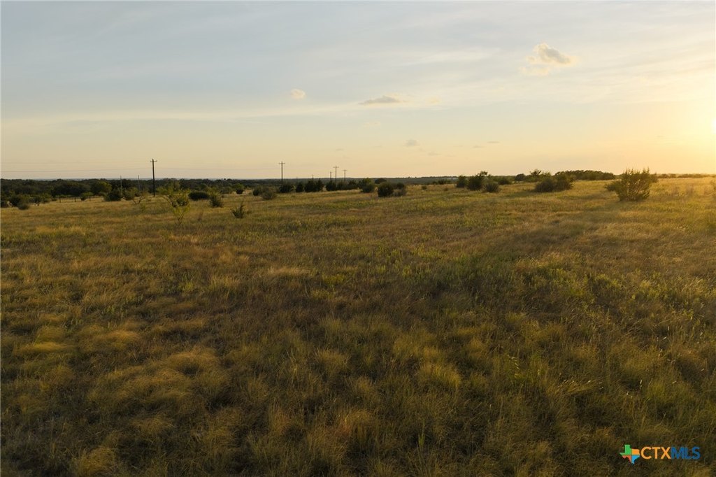 Picture 24