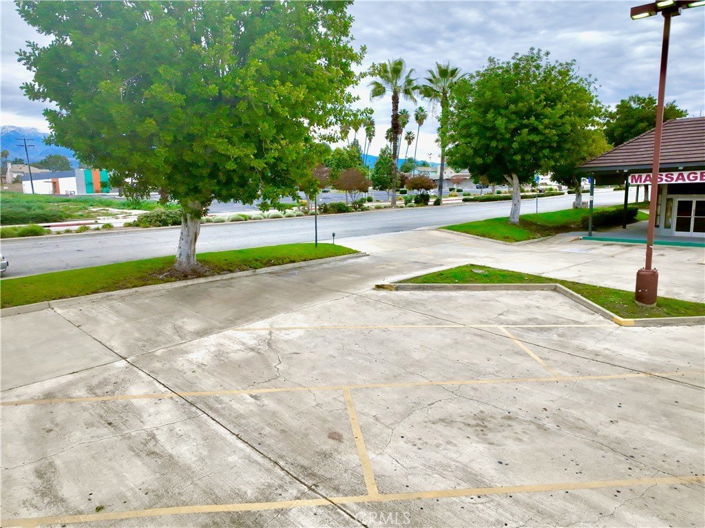 Picture 19