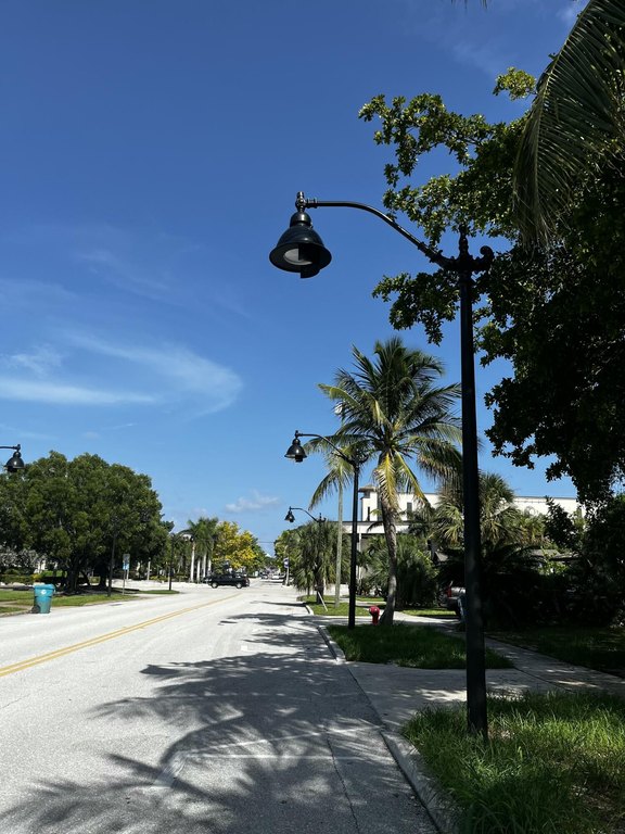 Picture 4