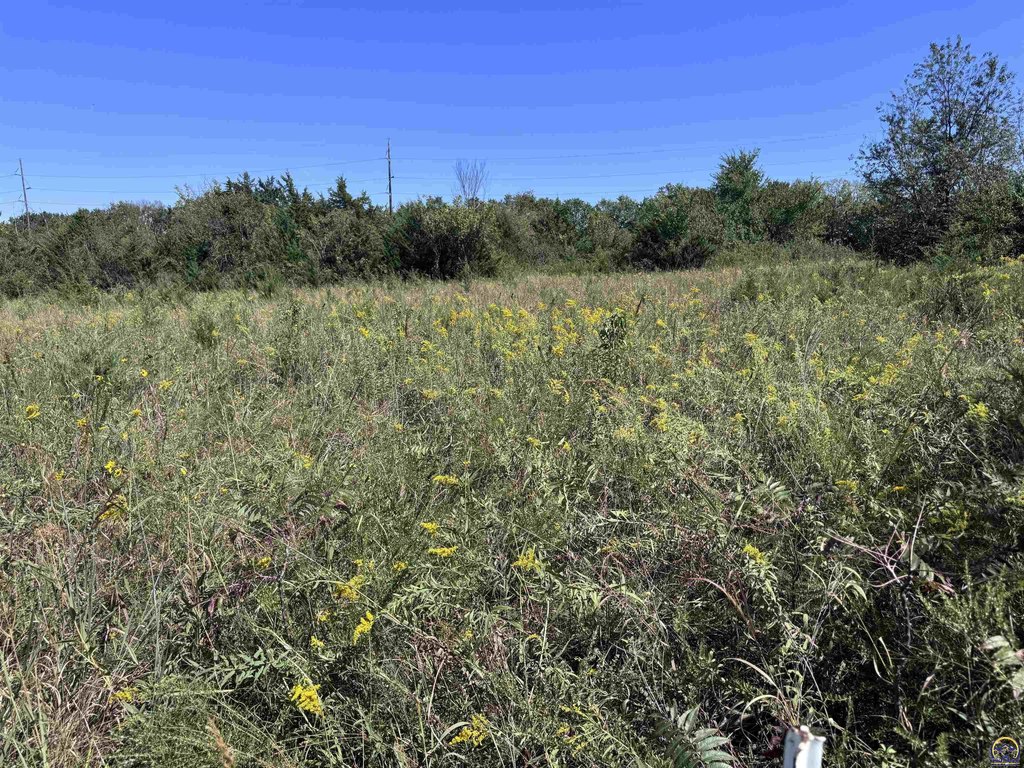 Picture 6
