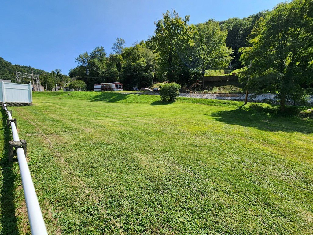 Picture 5