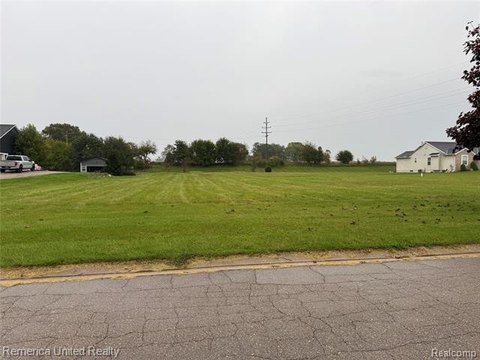 Vacant Land, Iosco Twp, MI