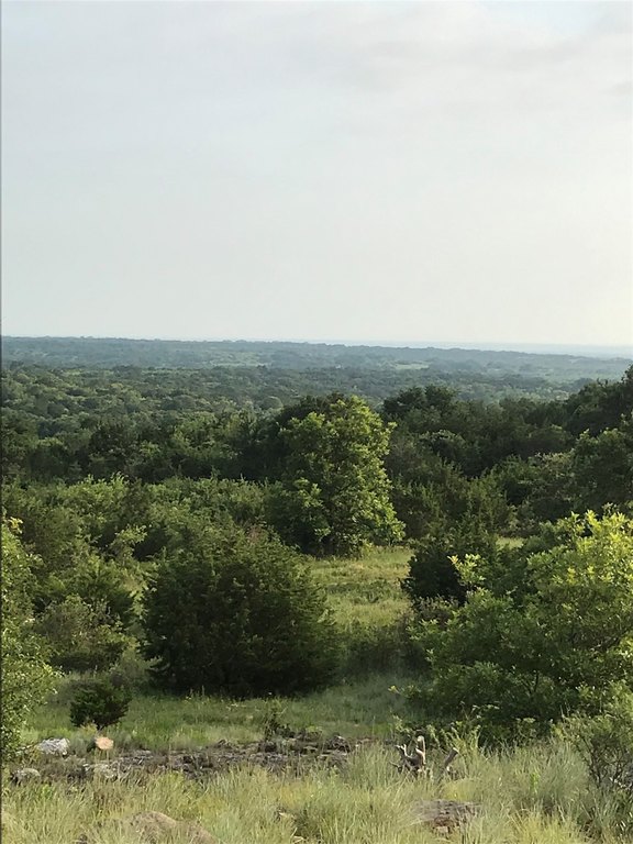 Picture 19
