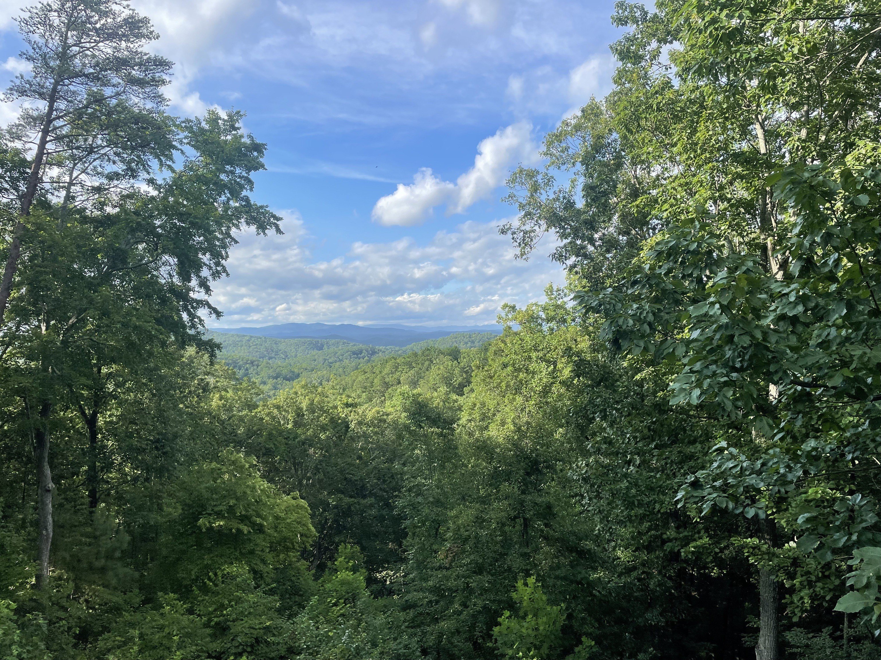 Ranger, GA Land with Views