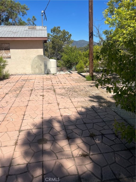 Picture 15
