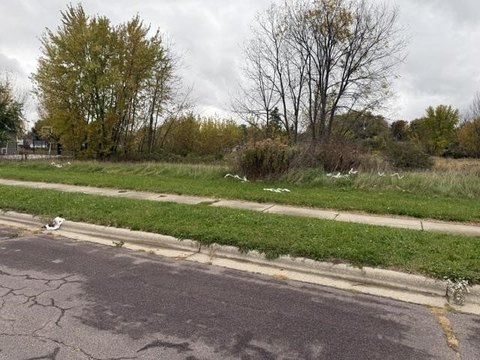 Lots & Acreage, Mauston, WI