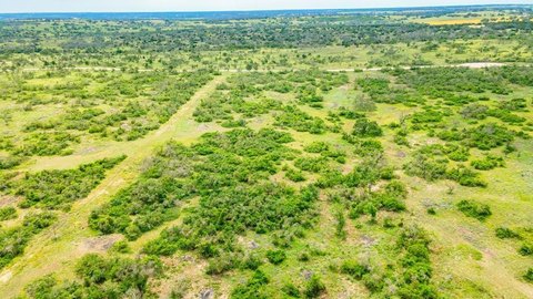 Harper TX Land with Oaks