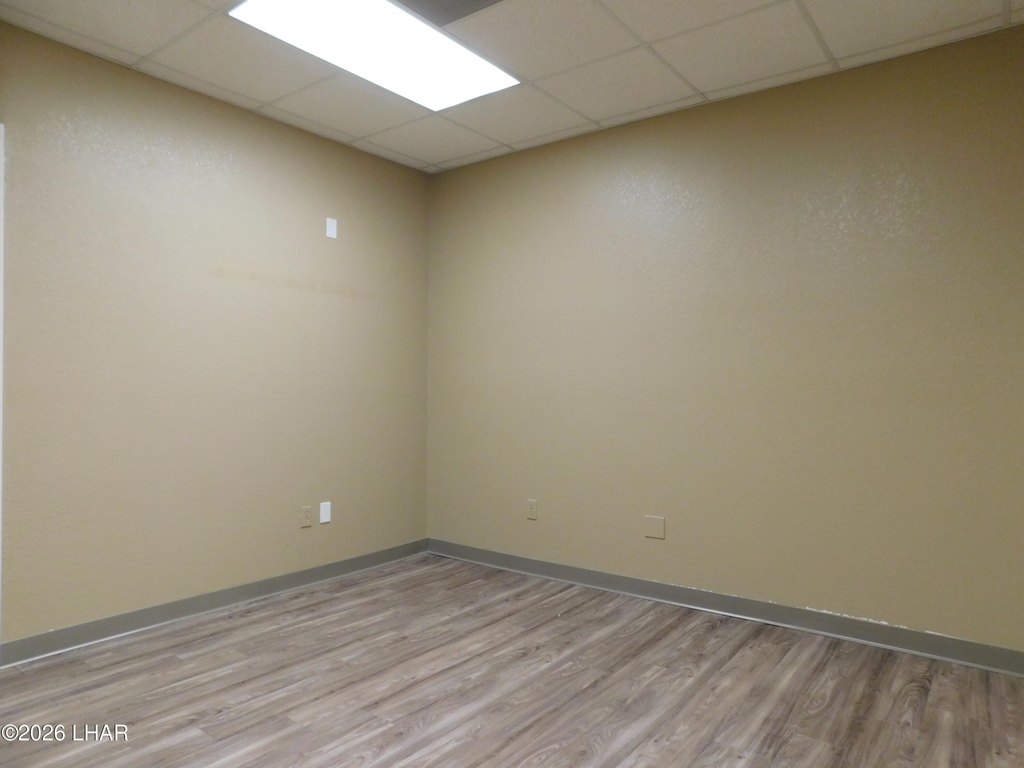 Picture 15