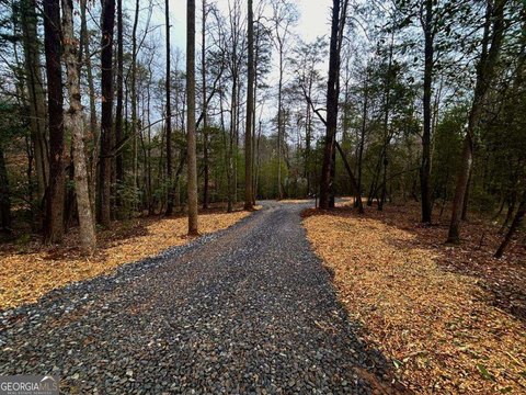 Land, Other - Blue Ridge, GA