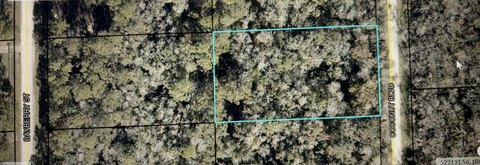 LOTS AND LAND, Bunnell, FL