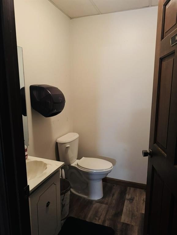 Picture 14