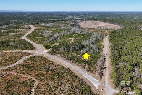 Mature Timber Acreage Tract