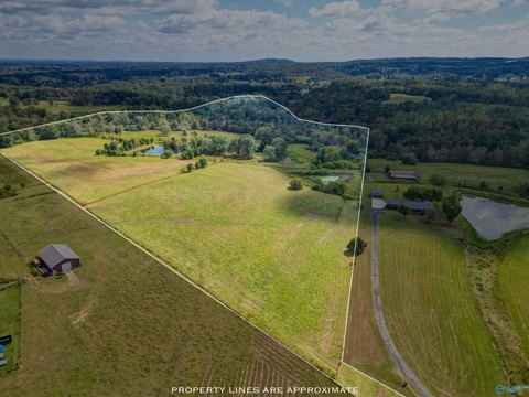 37.55 Acres in Boaz, AL