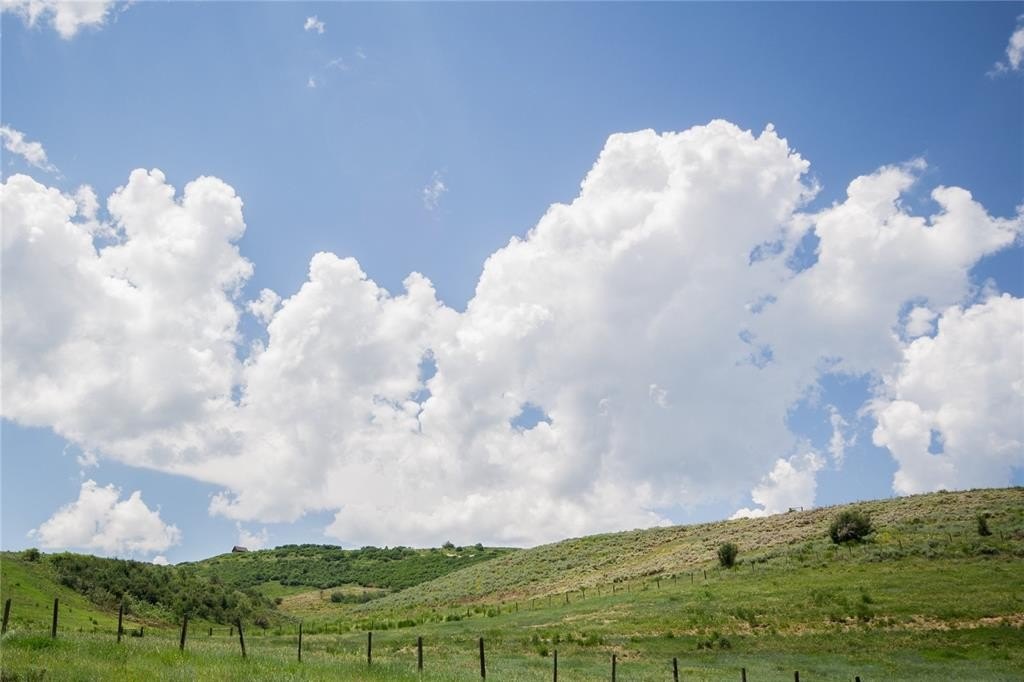 Picture 24