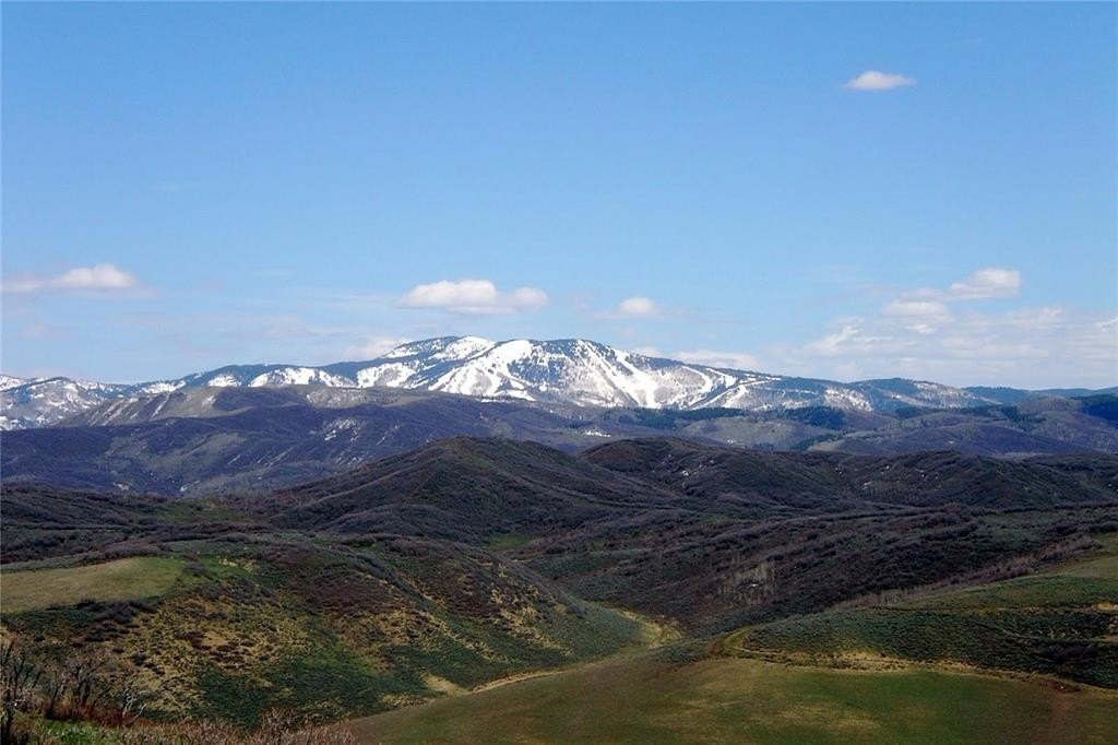 Picture 27