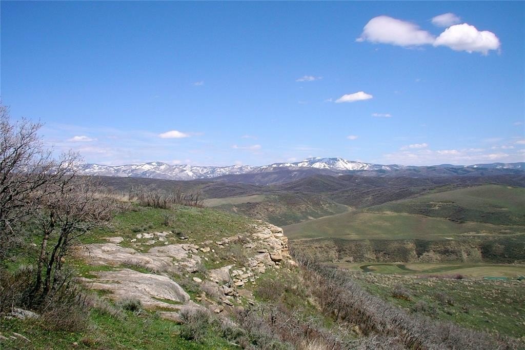 Picture 25