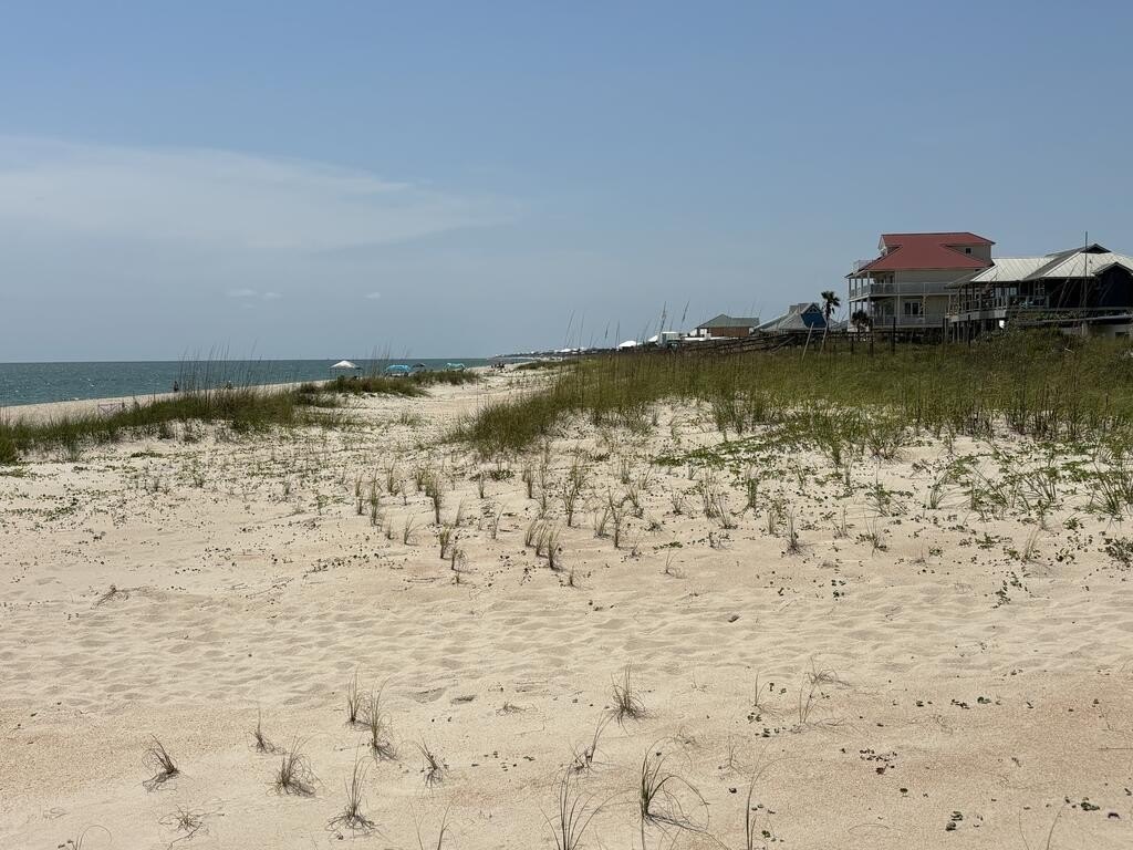 Picture 9
