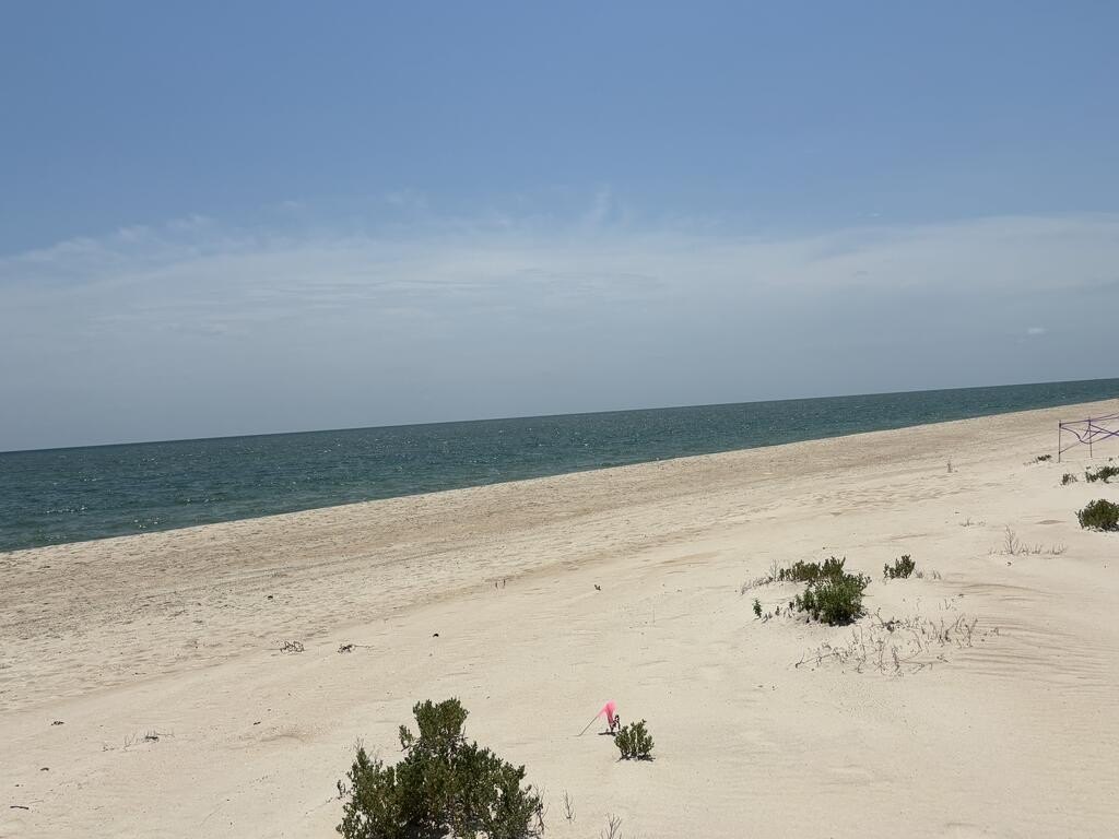 Picture 5