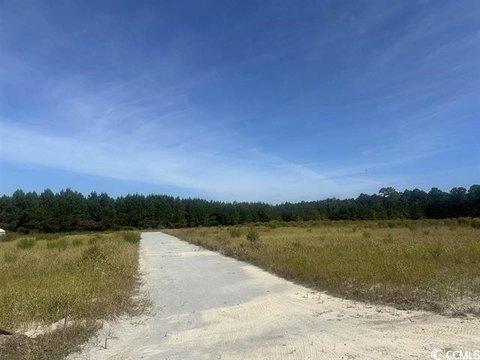 LAND, Loris, SC