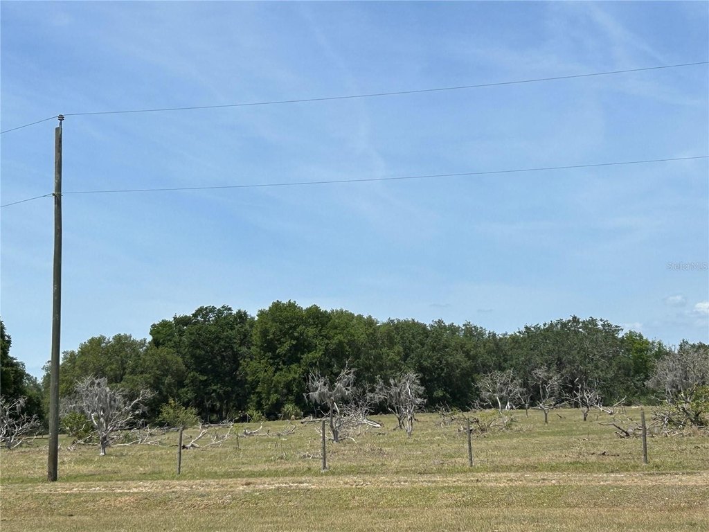Picture 20