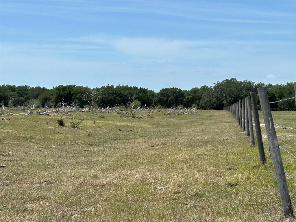 Picture 17