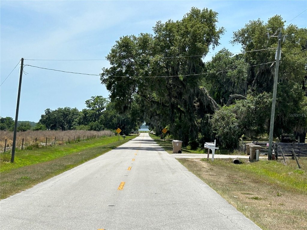 Picture 14