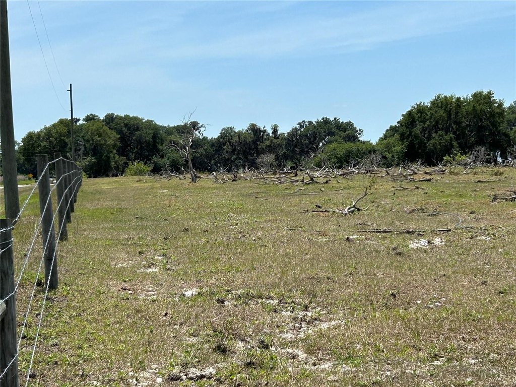 Picture 23