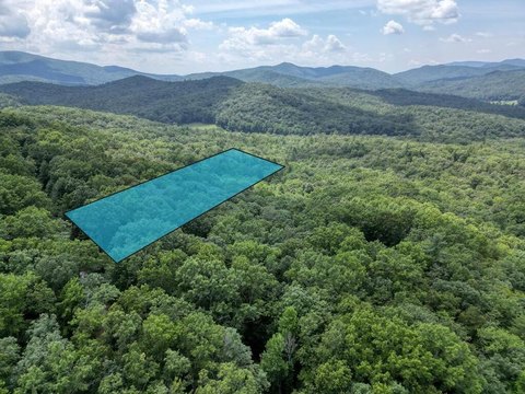 Vacant Lot, Blue Ridge, GA