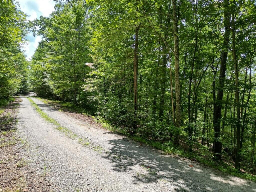 Picture 5