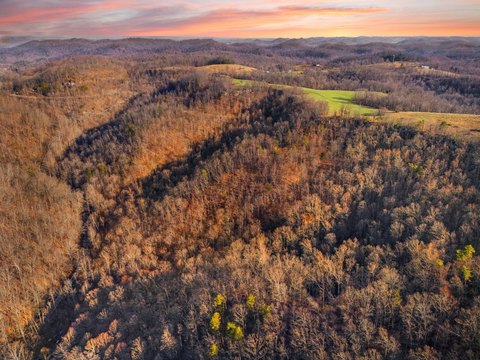 Undeveloped Land Near Red River Gorge