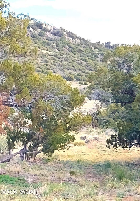 Picture 27