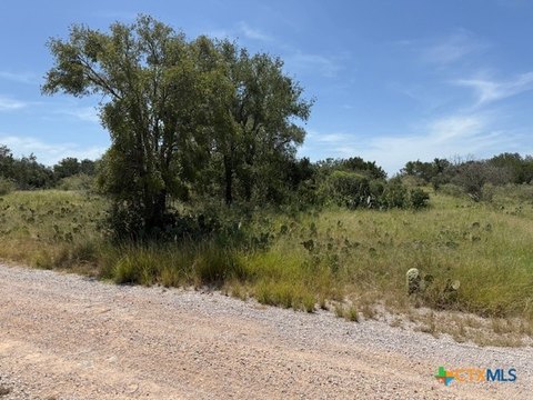 Undeveloped Lots Near Buchanan Dam