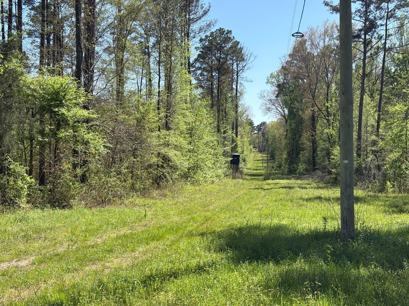 76 Acres Hunting/Timber Tract