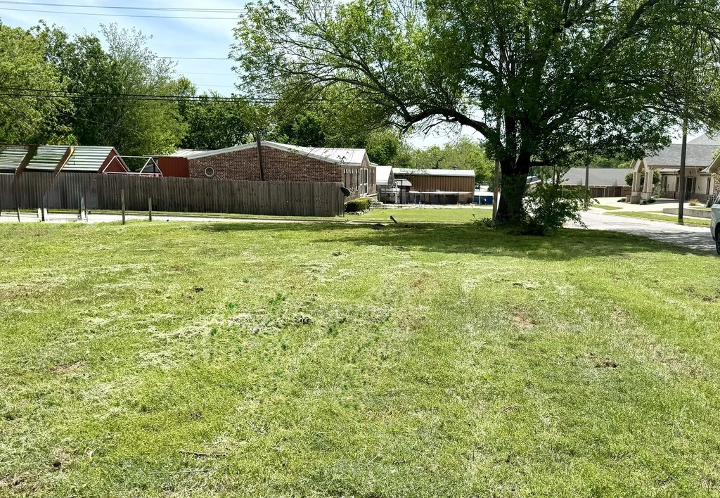 Picture 3