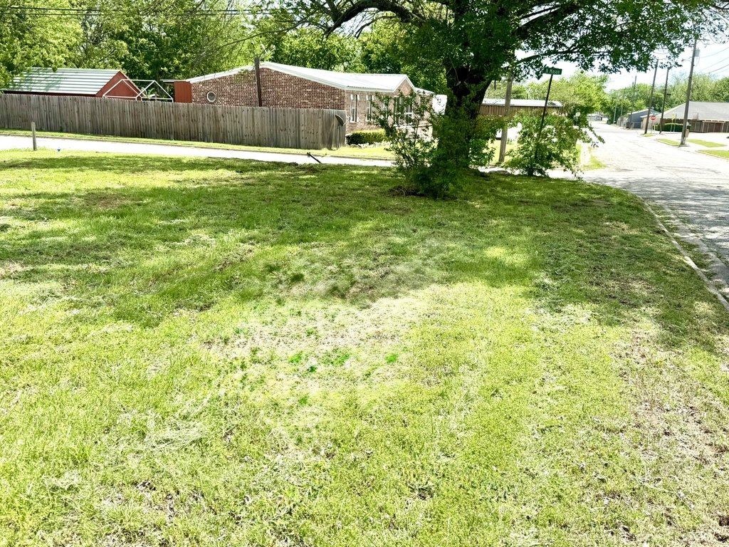 Picture 6