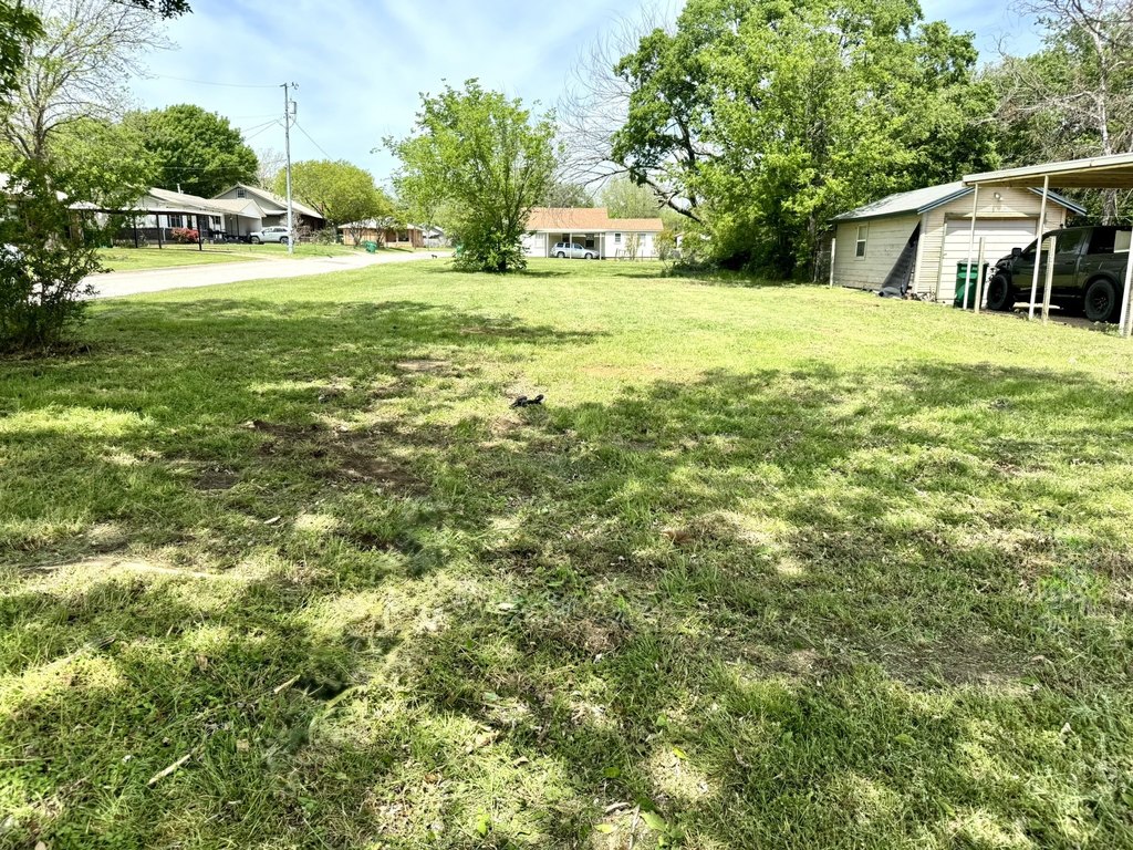 Picture 11