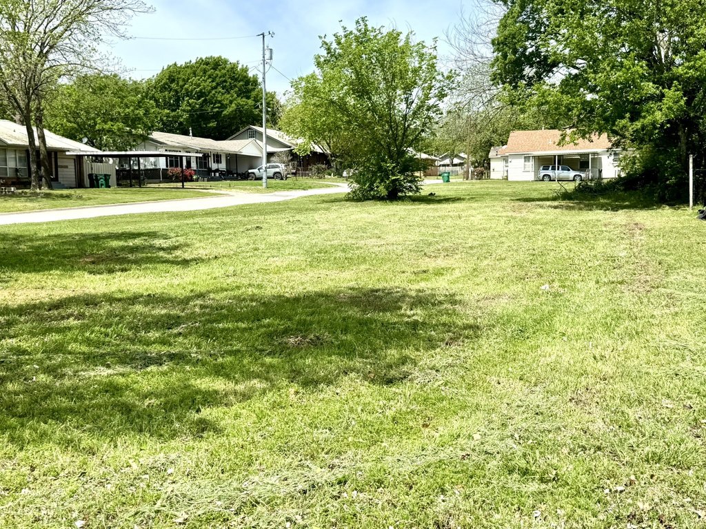 Picture 8